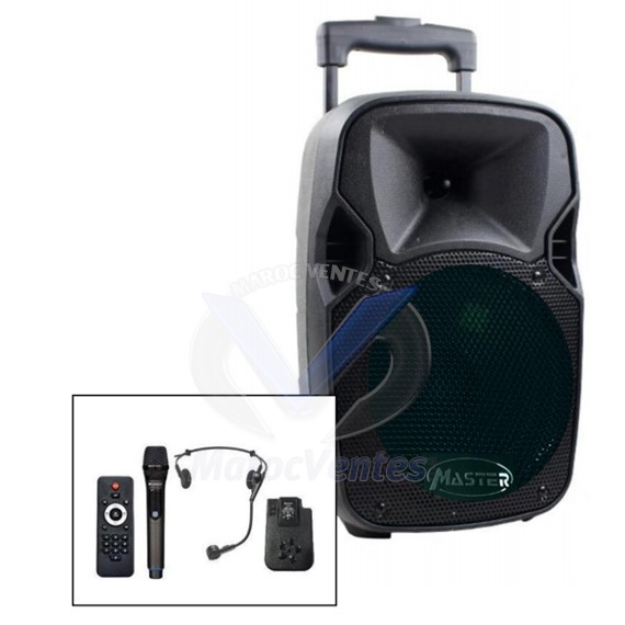 Sonorisation Mobile Complète avec 2 Micros sans Fil  + Télécommande sans Fil BQ-08